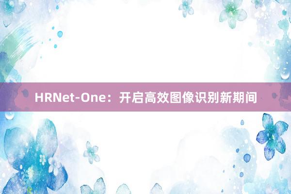 HRNet-One：开启高效图像识别新期间