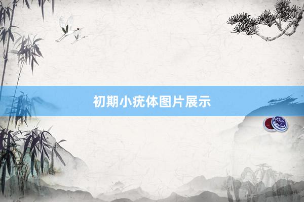 初期小疣体图片展示