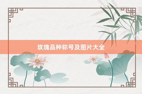 玫瑰品种称号及图片大全
